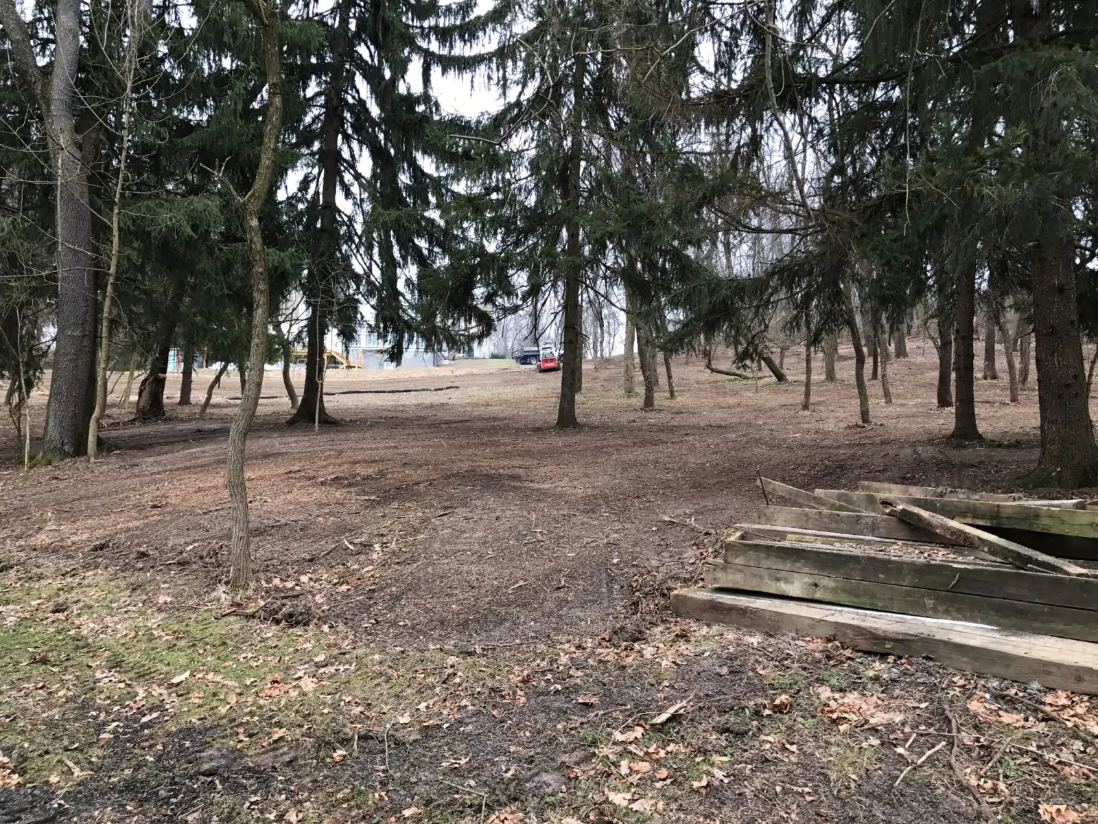 land-clearing-5-scaled-e1760553157552-1