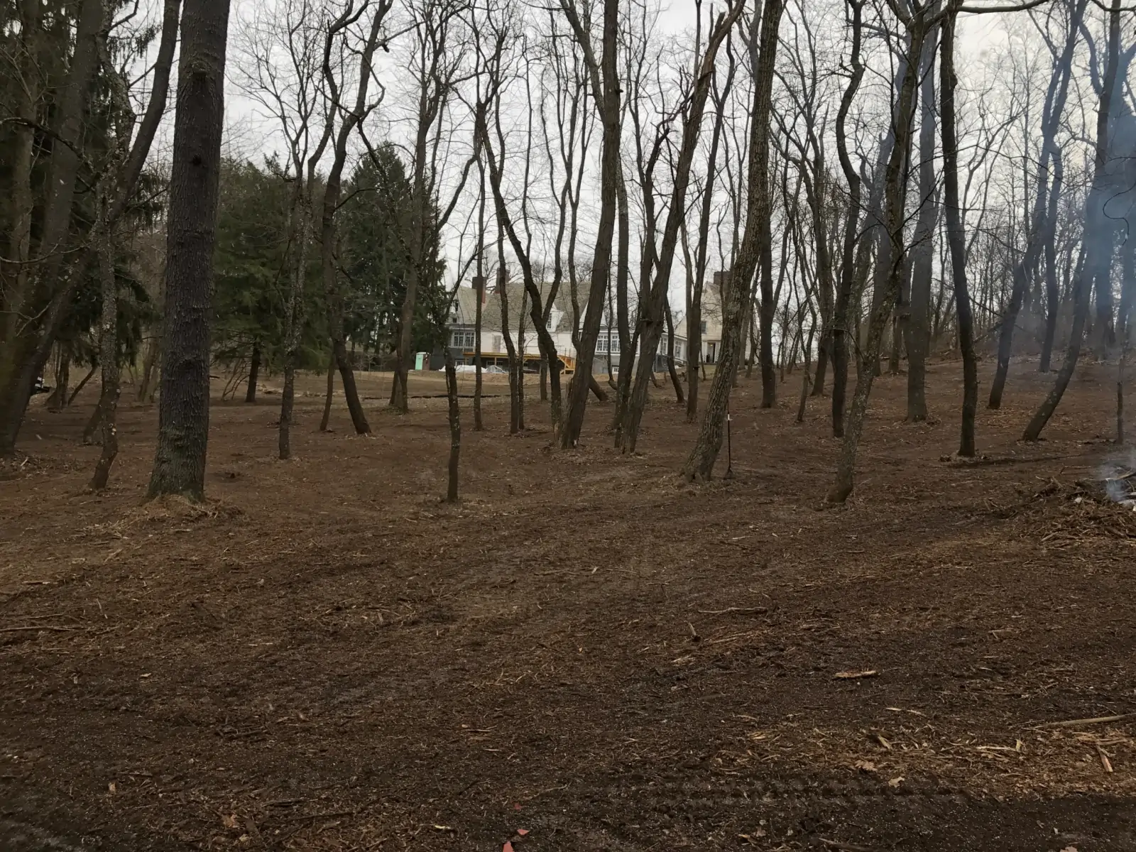 land-clearing-6-scaled-e1760553391538-1